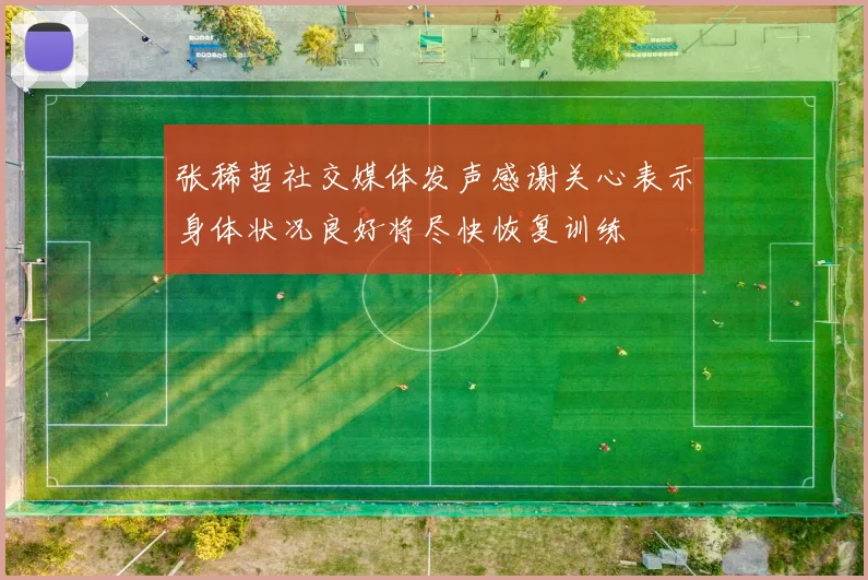 张稀哲社交媒体发声感谢关心表示身体状况良好将尽快恢复训练