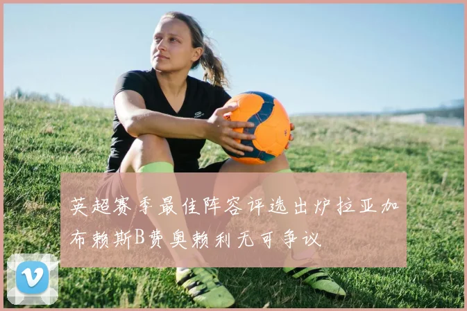 英超赛季最佳阵容评选出炉拉亚加布赖斯B费奥赖利无可争议